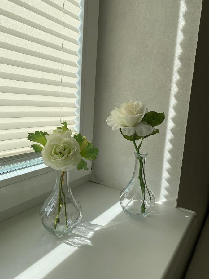 Apartman Hestia 라젝크테플리스 외부 사진
